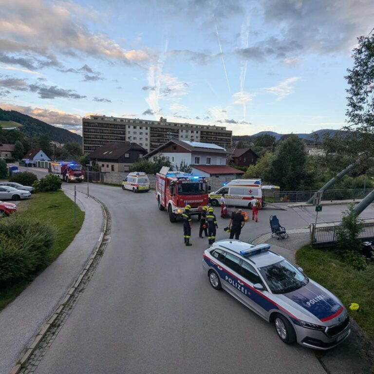 Mehr über den Artikel erfahren Menschenrettung Aubrücke